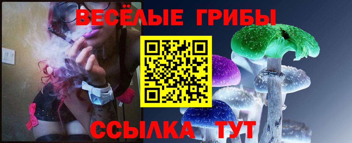 Галлюциногенные грибы Psilocybe  Галлюциногенные грибы Cubensis  Свободный  Вход с VPN 
